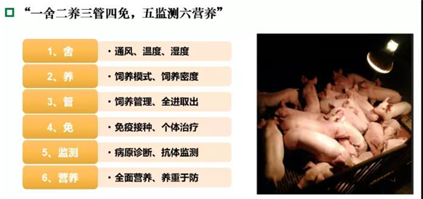 呼吸系統疾病突出臨床表現(xiàn)與防控