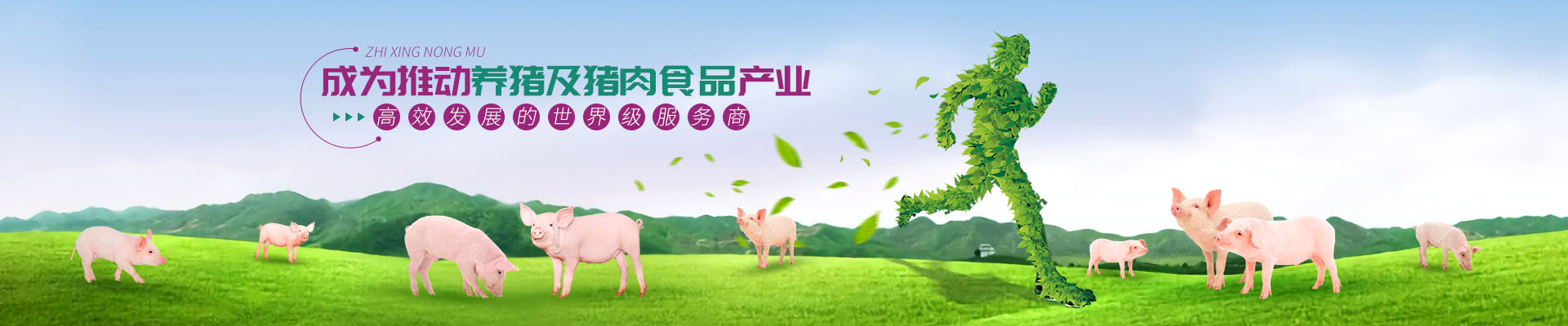 産品介紹